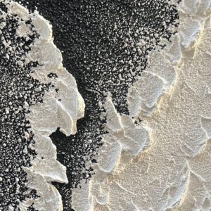 81E53-ssMYL._AC_SL1459_
